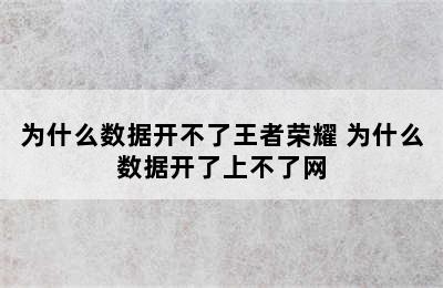 为什么数据开不了王者荣耀 为什么数据开了上不了网